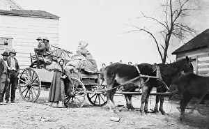 Donkey Prints: DEPARTURE FROM THE OLD HOMESTEAD