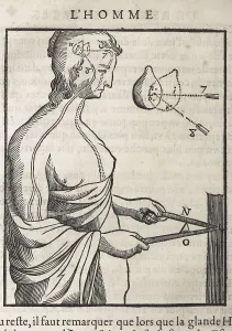 Woodcuts Prints: DESCARTES, Ren (1596-1650). 'Treatise on Man' (Trait de l'Homme)