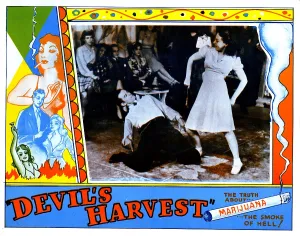 Drug Abuse And Alcoholism Prints: DEVIL'S HARVEST, 1942