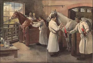 Chemists Prints: Diphtheria antitoxin was made by inoculating horses with diphtheria bacteria