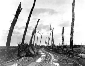 Tanks Prints: A disabled tank named Druid on a street corner of the devastated town of Poelcapelle