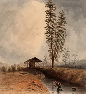 Working Prints: DISCOVERY OF GOLD IN A TRENCH, SACRAMENTO RIVER
