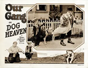 Cobb Prints: DOG HEAVEN, lobbycard, Joe Cobb (bottom left)