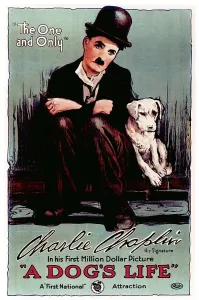 Images Dated 8th August 2005: A DOG'S LIFE, Charlie Chaplin, 1918