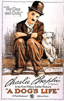 Classic Prints: A DOG'S LIFE, Charlie Chaplin (aka Charles Chaplin')