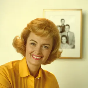 DONNA REED SHOW, Donna Reed, 1958-1966