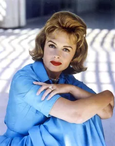 Donna Prints: THE DONNA REED SHOW, Donna Reed, (1962), 1958-1966