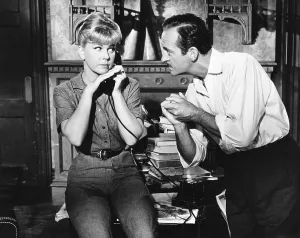 Niven Prints: PLEASE DON'T EAT THE DAISIES, from left, Doris Day, David Niven, 1960