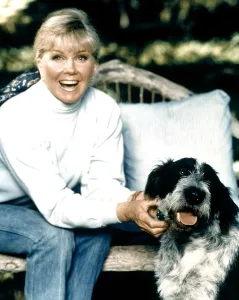 White Sweater Prints: Doris Day, ca. early 1970s