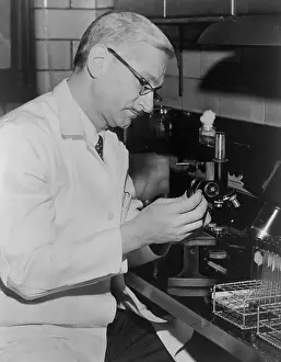 Doctors Prints: Dr. Albert Sabin, seated at a microscope in 1962