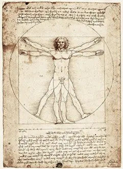 Drawings Prints: Drawing by Leonardo da Vinci. Vitruvian Man
