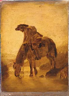 Saddle Prints: Drinking Horse, after Jan Both