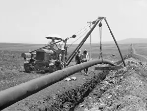 Tractors Prints: Dropping a welded pipe into a trench with a crane while laying the Iraq Petroleum Company's pipe line across