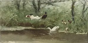 Brush Prints: Ducks in the Ditch, by Willem Maris, c