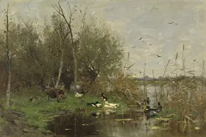 Feathers Prints: Ducks Beside a Duck Shelter on a Ditch