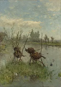 Feathers Prints: Ducks Nests, by Paul Joseph Constantin Gabriel