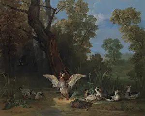 Orange Prints: DUCKS RESTING IN THE SUNSHINE, by Jean-Baptiste Oudry