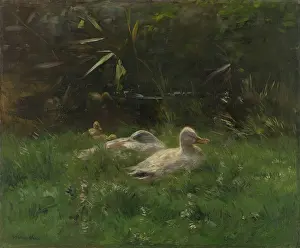 Mother Prints: Ducks, by Willem Maris, c. 1880-1904