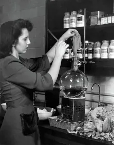 Chemicals Prints: DuPONT COMPANY LABORATORY-- Woman starting a pair of used nylons through a process developed at the laboratory which