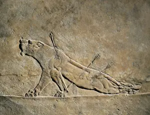 Iraqis Prints: The Dying Lion. ca. 645 BC. Panel situado en la zona norte de palacio
