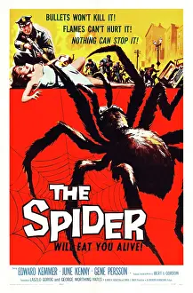 Spider Prints: EARTH VS. THE SPIDER, (aka THE SPIDER), US poster art, 1958