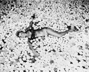 Swimming Pool Prints: EASY TO LOVE, Esther Williams, swimming through gardenias and camellias, 1953