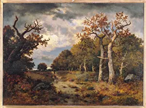 The Edge of the Forest, by Unknown Artist, 1871, 19th Century, oil on canvas, cm 71 x 98, 5 - France, Ile de France, Paris, Muse dOrsay, RF1823. All