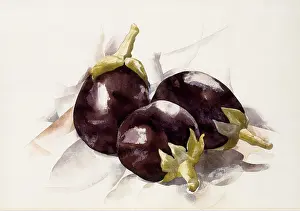 Purple Prints: EGGPLANTS, by Charles Demuth, 1927