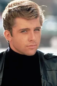1984 Movies Prints: ELECTRIC DREAMS, Maxwell Caulfield, 1984