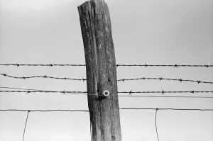 Machinery Prints: Electrified barbed wire fence. As the New Deal's Rural electrification program connected farmers
