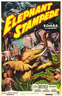 Shooting Prints: ELEPHANT STAMPEDE, (aka BOMBA AND THE ELEPHANT STAMPEDE)