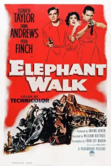 Dana Prints: ELEPHANT WALK, US poster art, from left: Dana Andrews, Elizabeth Taylor, Peter Finch, 1954