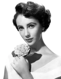 1950s Hairstyles Prints: Elizabeth Taylor, 1950
