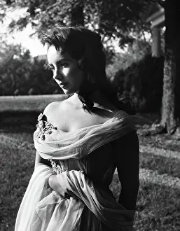July Prints: Elizabeth Taylor, 1950s