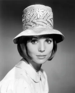Straw Hat Prints: Elsa Martinelli, 1962