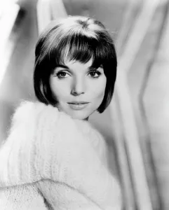 Martinelli Prints: Elsa Martinelli, 1962