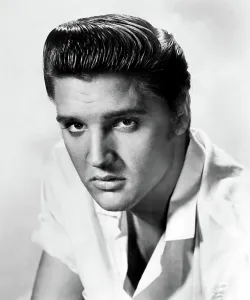 Zast Prints: Elvis Presley, 1956