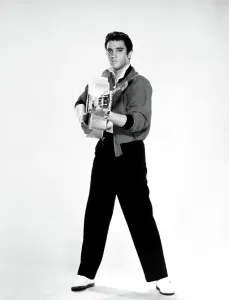 Zast Prints: Elvis Presley, 1960s