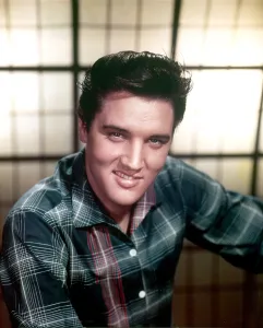Plaid Shirt Prints: ELVIS PRESLEY