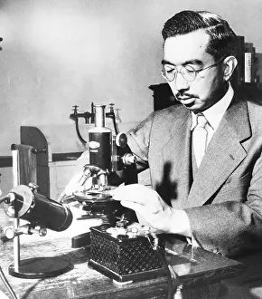 Microscope Prints: Emperor Hirohito puts specimens on a slide under the microscope in his marine biology laboratory