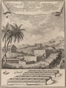 1760s Prints: Three enslaved Africans work at Indigo dye processing