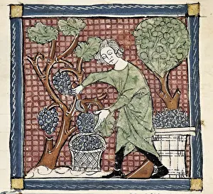 Astronomical Prints: ERMENGAUD OF BEZIERS (13th century)