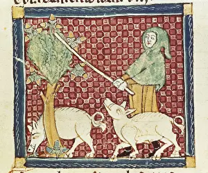 Astronomical Prints: ERMENGAUD OF BEZIERS (13th century)