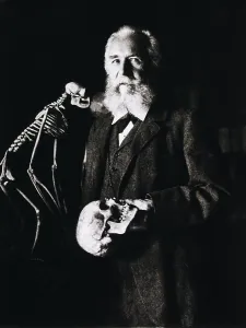 Evolution Prints: Ernest Haeckel (1834-1919) standing beside a skeleton of monkey and holding a human skull