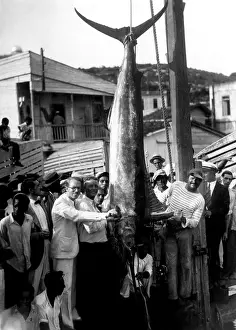 Images Dated 27th March 2007: Ernest Hemingway (right) with a record breaking black-marlin caught on a recent fishing trip off the Cuban coast ca