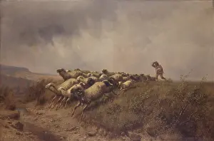 Shepherd Prints: Escape from the storm (Fuga dal temporale)