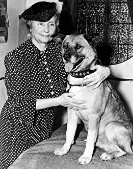 Famous People Prints: EV1845 - Helen Keller with the seeing eye dog