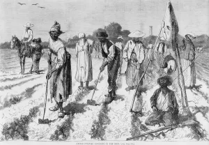 Reconstruction Prints: Ex-slaves, working in a gang on a cotton plantation with a nearby overseer in 1875