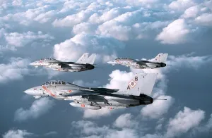 Surveillance Prints: Three F-14 Tomcats Fighters patrol over the Persian Gulf