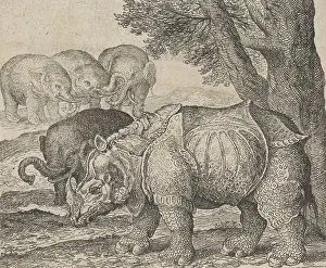Trunks Prints: Fable of the Rhinoceros and Elephants